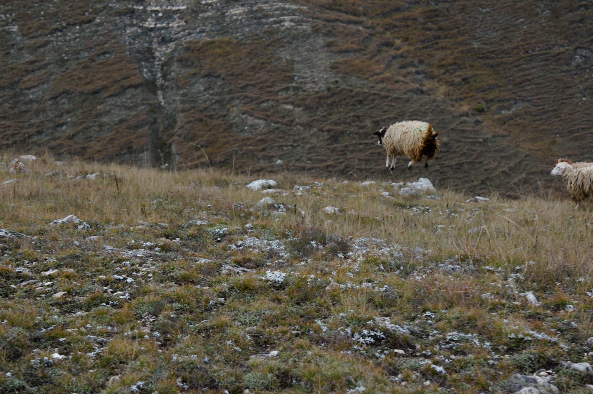 Поездка в Дагестан