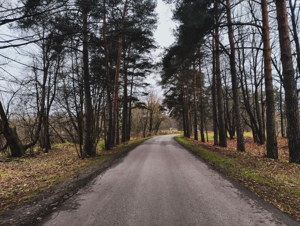 Даже если становится грустнее (Ноябрь)