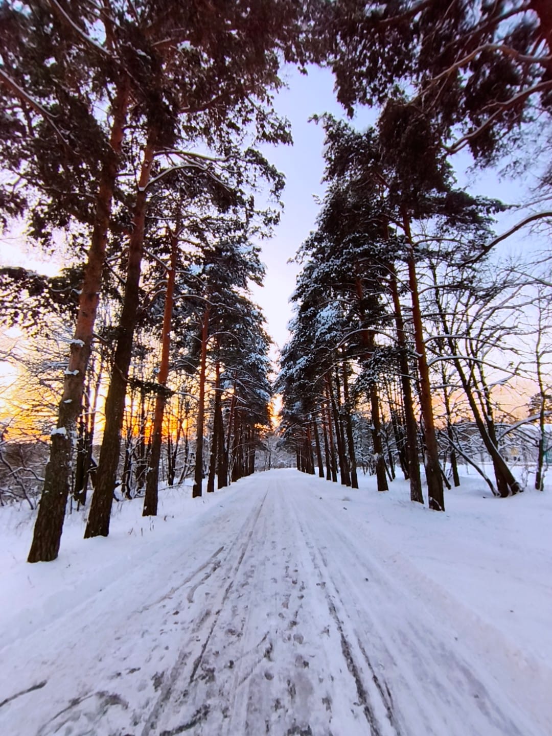 Бегать вышел я не зря на улицу 1-ого января