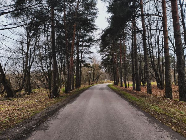 Даже если становится грустнее (Ноябрь)