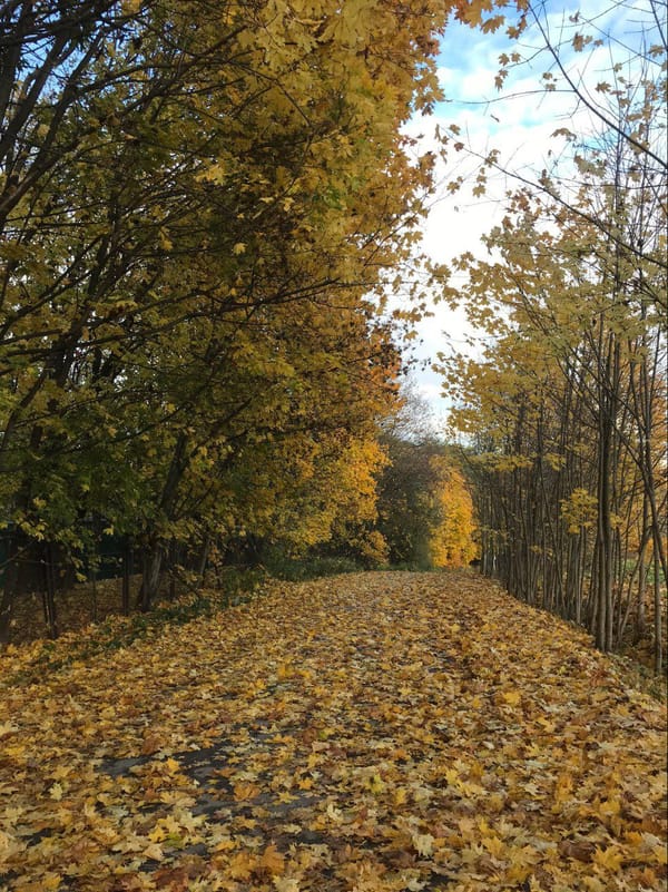 Останавливаться нельзя! (Октябрь)